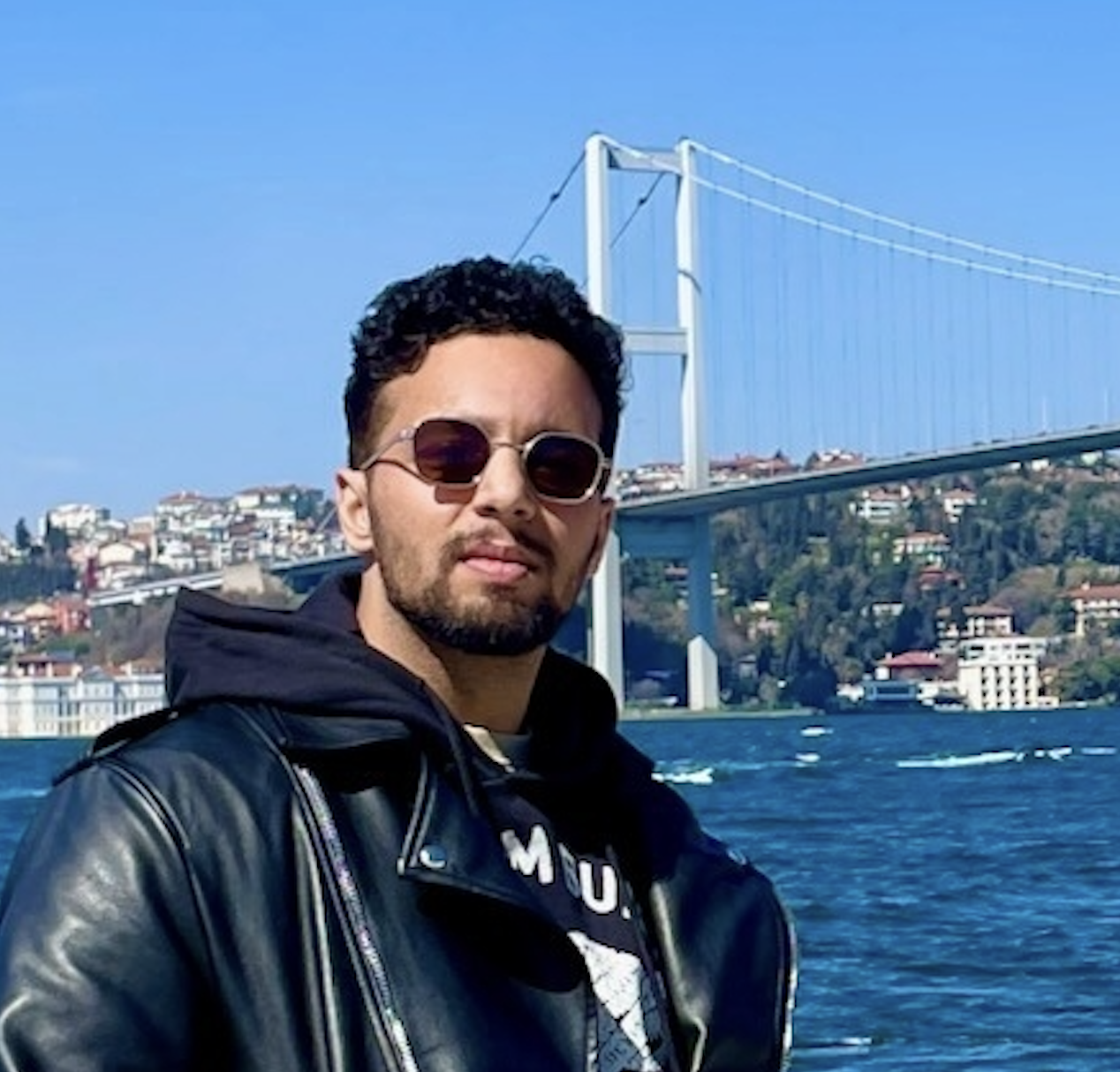 Portrait of Mirza Mujtaba Hussain